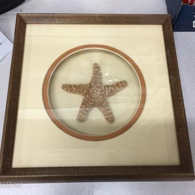 Framed and matted starfish