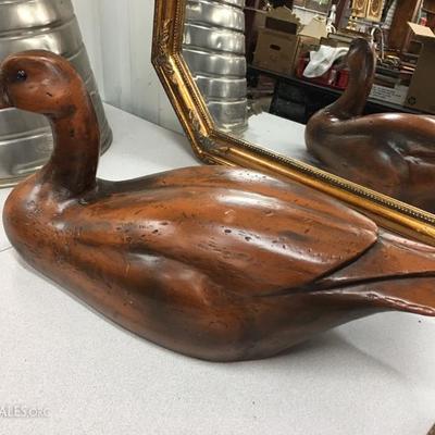 Wood duck