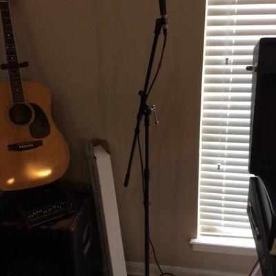 mic and stand
