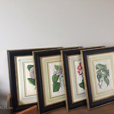 Botanical prints - beautiful!