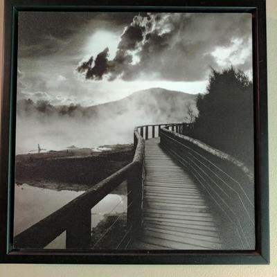 Framed Print