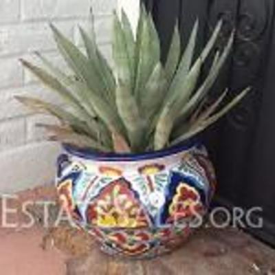 Talavera Pot with Agave Plant