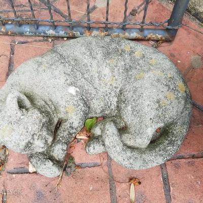 Lawn decor/stone cat 