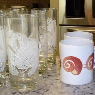 SHELL GLASSES AND CUPS