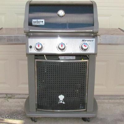 Weber Spirit Stainless Propane 2-Burner Gas Grill