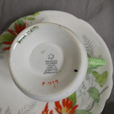 Antique English bone china tea cup & saucer Paragon "Poinsettia"