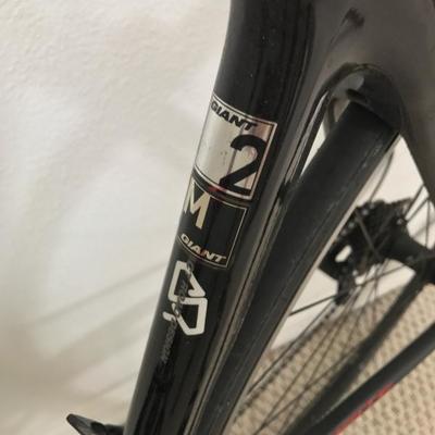 Giant TCR S2 Triathlon Road Bike