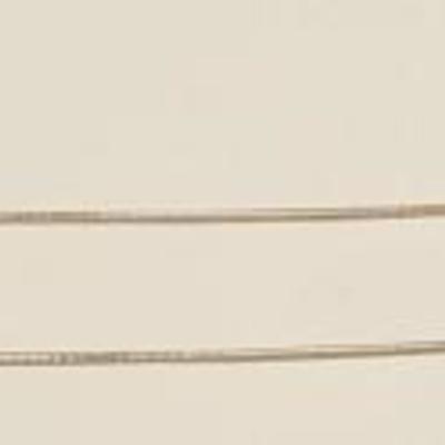 FSL176 Silver Plumeria Pendant and Chain
