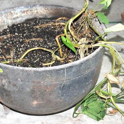 Large Cast Iron Pot