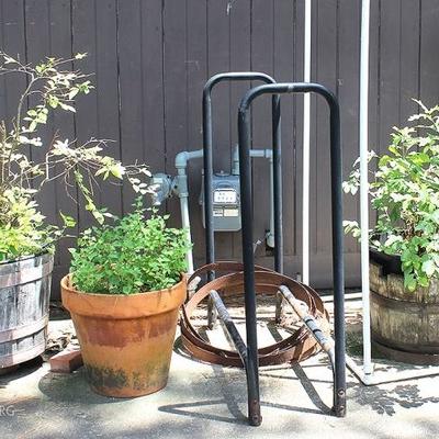 Lot of 3 Large Potted Plants