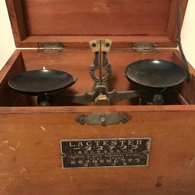 Vintage Traveler's Scales Collection