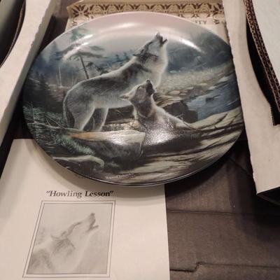 Collectors plates wolves have 8