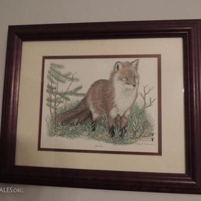 Framed and signed fox drawing
