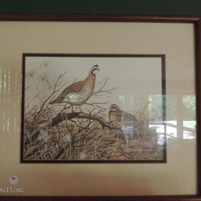 William Zimmerman bird prints