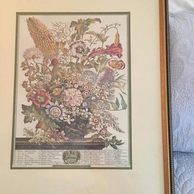 Botanical Print 