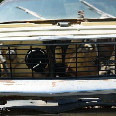 Dodge Challenger - PARTS ONLY
