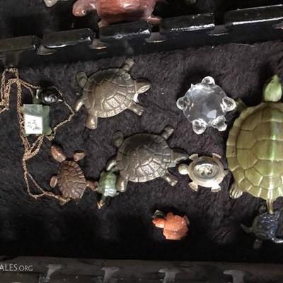 turtle collection