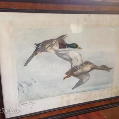 Framed "Wild Ducks" Etching - Signed Leon Danchin