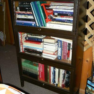 Lawyer's stack bookcase