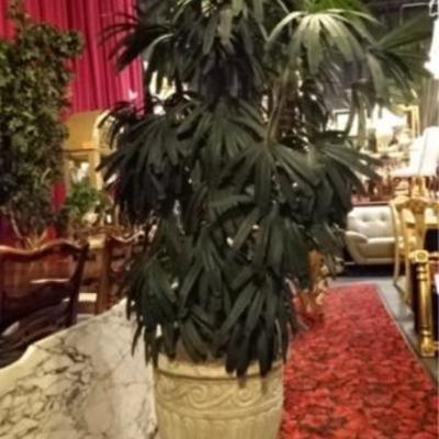 $105.00 - LARGE SILK LADY PALM TREE IN CONCRETE PLANTER, VERY GOOD CONDITION, APPROX 7' TALL
