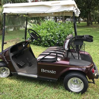 1995 E-S-Go Golf cart, in great condition 