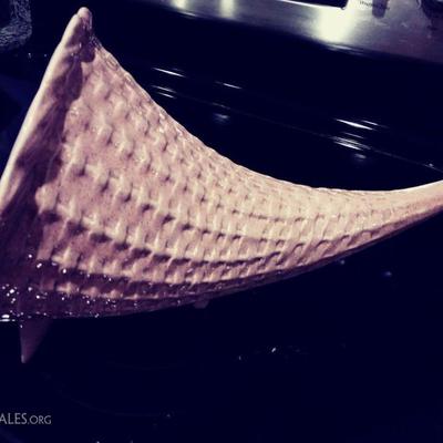 Pink textured cornucopia ~ A perfect look and conversation centerpiece to use for fruit or other veggies "spilling forth" on a...