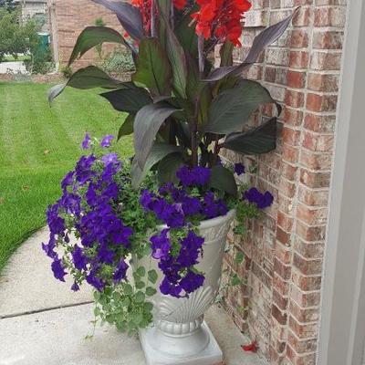Planted Flowers in Pot