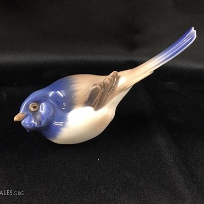 Bird