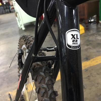Raleigh 22" mountain bike