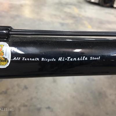 Raleigh 22" mountain bike