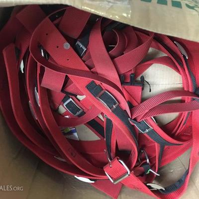 Red belts
