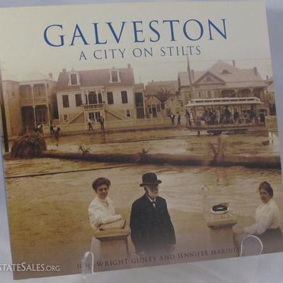 Galveston, A City on Stilts by Jody-Gidley and Jennifer Marines.  On September 8, 1900, a devastating hurricane destroyed most of the...