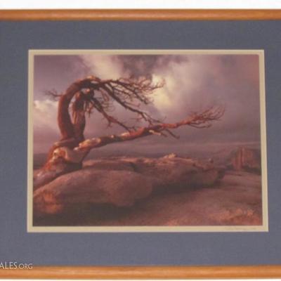 Framed and Matted Original Photo by Photographer Russ Stolling