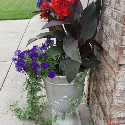 Planted Flowers in Pot