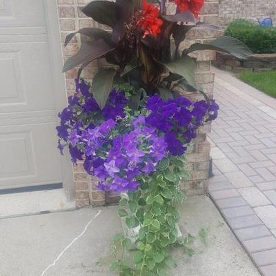 Planted Flowers in Pot