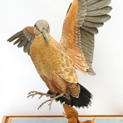 Incredible detailed rare wood carving of a American Woodcock by Lowcountry Artist Robert H. Hortman. Fine carved detail, looks real....