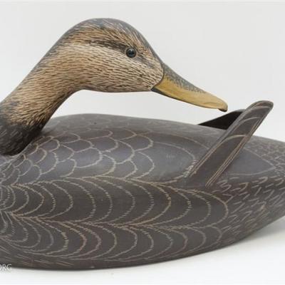 Large Hand Carved Preening Duck Decoy with raised wing tips, glass eyes, initialed C.M. (possibly Charles Moore) and dated 1988 on the...
