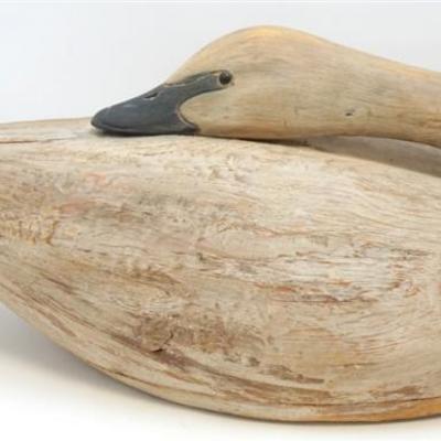 Large Hand Carved Preening Swan Decoy by talented Connecticut decoy carver David B. Ward. With his signature initials on the bottom and...