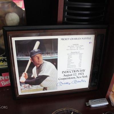 Sports Memorabilia