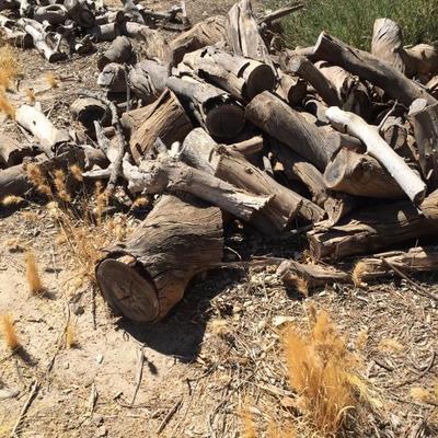 Campfire ðŸ”¥ or fire ðŸ”¥ place wood. Lots to pick from
