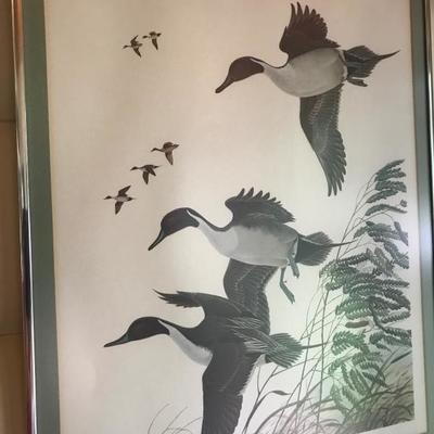 Signed Waterfowl Print