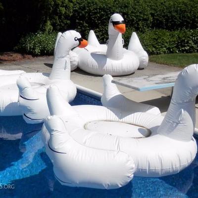 Pool Inflatables 