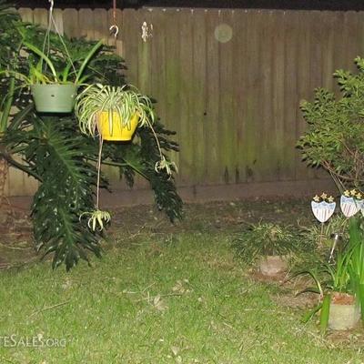 More Hanging and Potted Plants along with some Yard Art