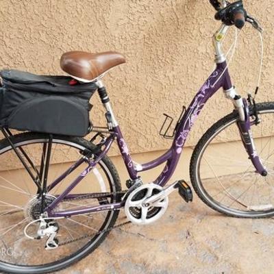 Lady's Trek Bike -fully loaded 