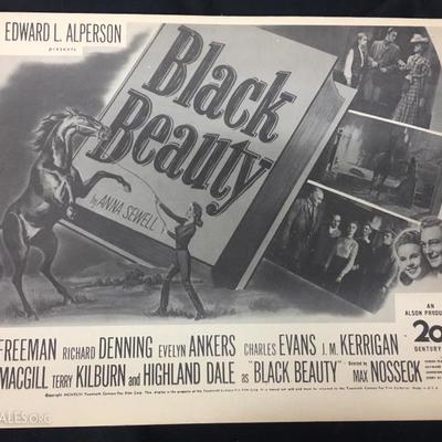 Black Beauty advertisement