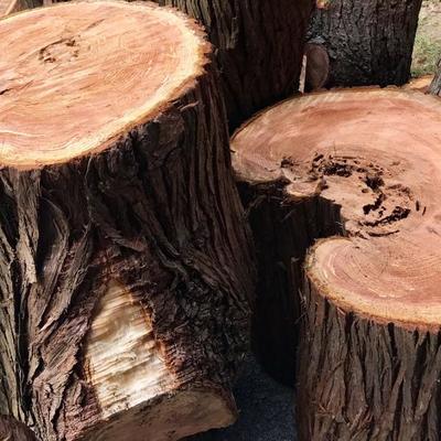 85% Dry Cedar Pieces 
FREE