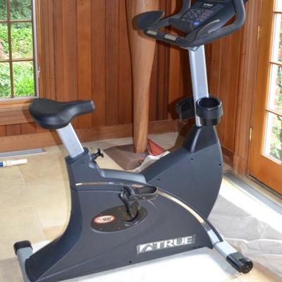 True PS900 exercise bike