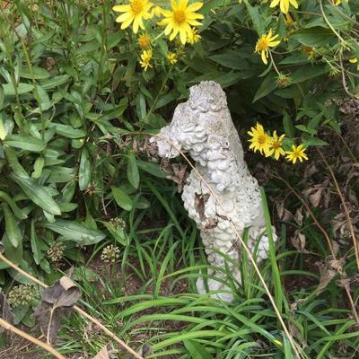 Garden Ornaments.