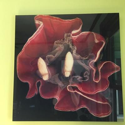 Richard Monage "Space Other" Series