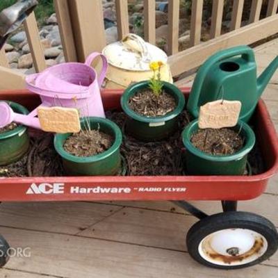 Little Red Wagon with Planting Pots
